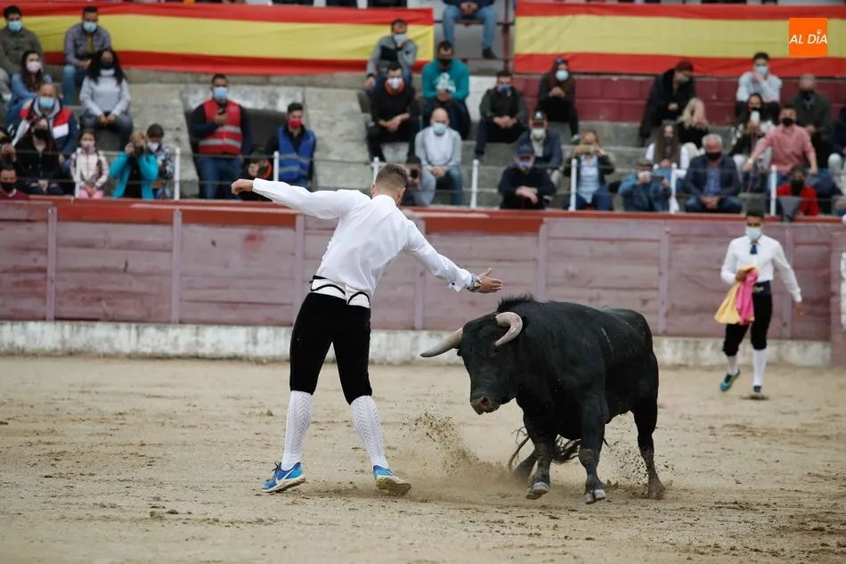 Foto 7 - El Ayuntamiento de Masueco ya tiene los toros para las fiestas de agosto  