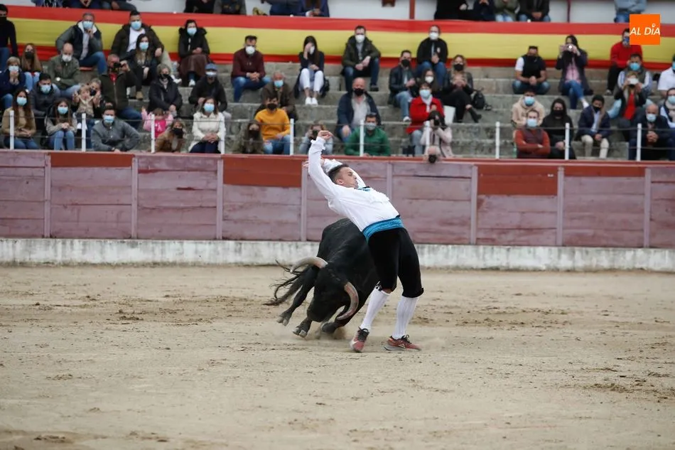Foto 5 - El Ayuntamiento de Masueco ya tiene los toros para las fiestas de agosto  