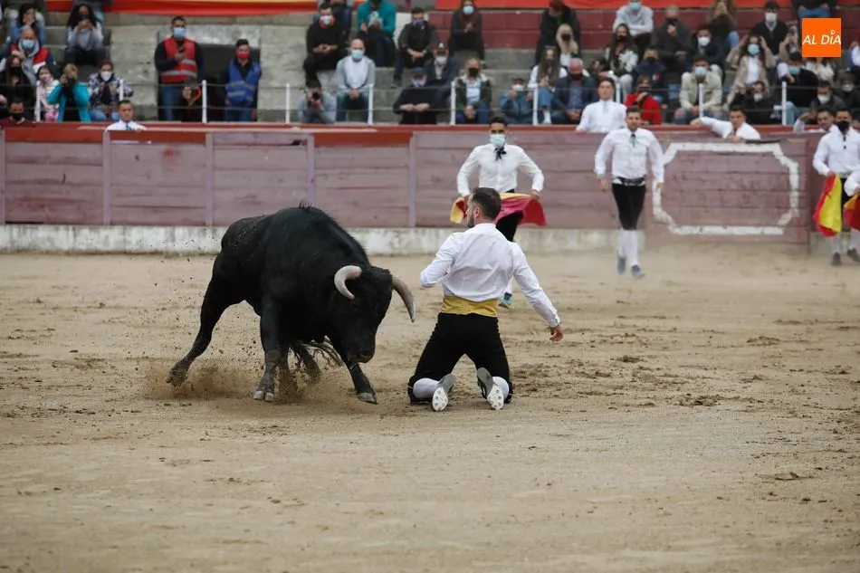Foto 3 - El Ayuntamiento de Masueco ya tiene los toros para las fiestas de agosto  