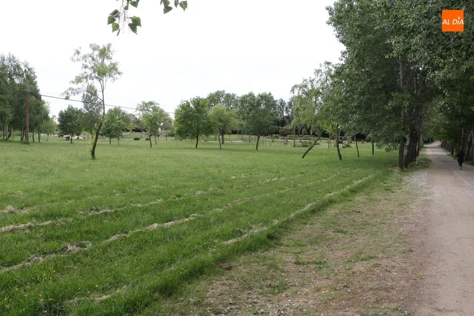 Zona aproximada del parque donde se instalará el área multiaventura - Kiko Robles