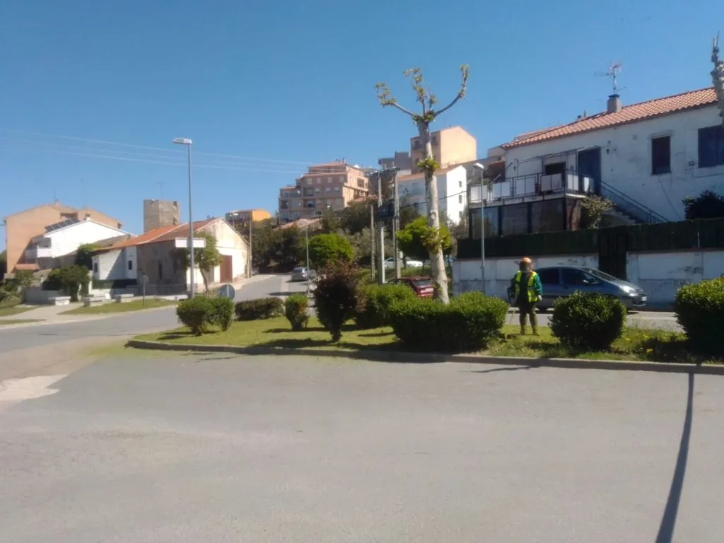Foto 3 - Prosigue el acondicionamiento de diferentes zonas verdes en Alba de Tormes