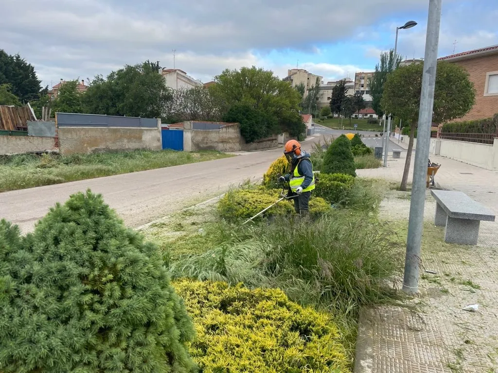 Foto 4 - Prosigue el acondicionamiento de diferentes zonas verdes en Alba de Tormes