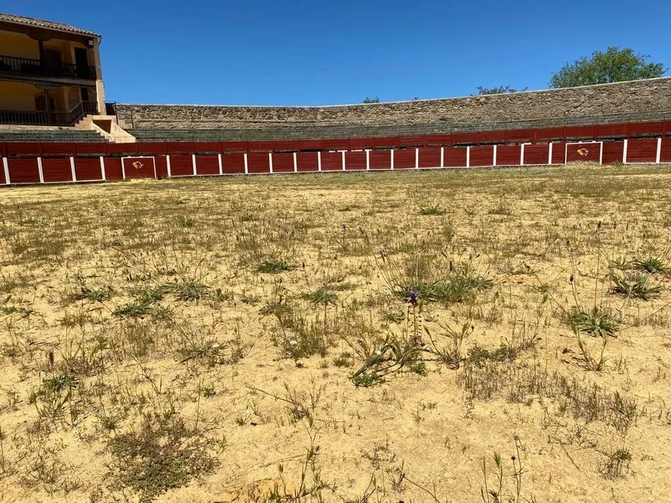 Foto 2 - El Partido Popular denuncia ante Patrimonio el estado de abandono de la Plaza de Toros de B&eacute;jar