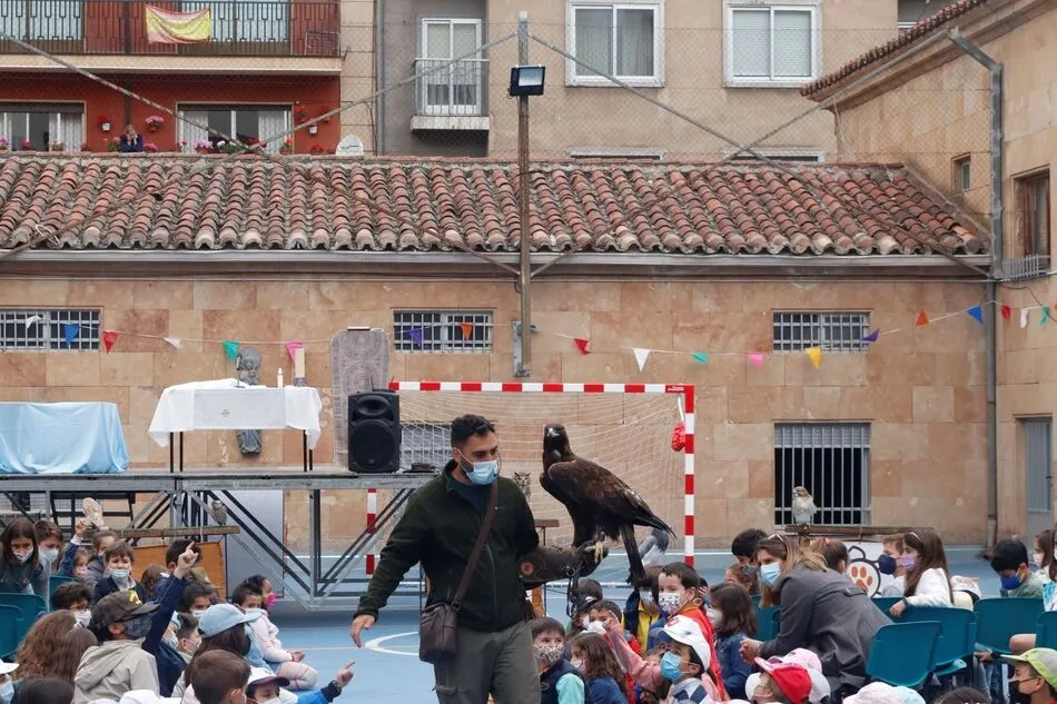 Foto 7 - Los alumnos del Colegio San Juan Bosco celebran la fiesta de Mar&iacute;a Auxiliadora&nbsp;