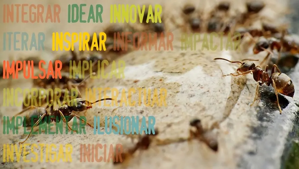 Programa de Adriss para emprendedores