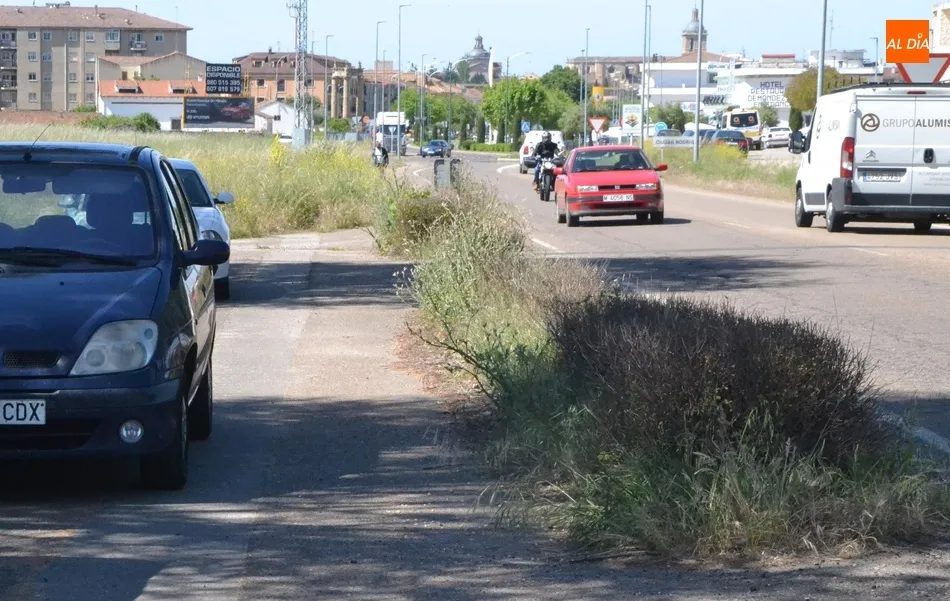 Foto 6 - El proyecto de la &lsquo;Zona Industrial Verde&rsquo; tendr&aacute; un coste cercano a los 700.000&euro;  