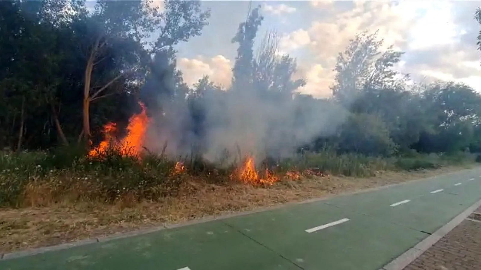 Foto 7 - Declarado un incendio en la zona del embarcadero junto al paseo fluvial&nbsp;