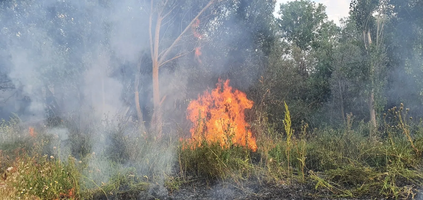 Foto 5 - Declarado un incendio en la zona del embarcadero junto al paseo fluvial&nbsp;