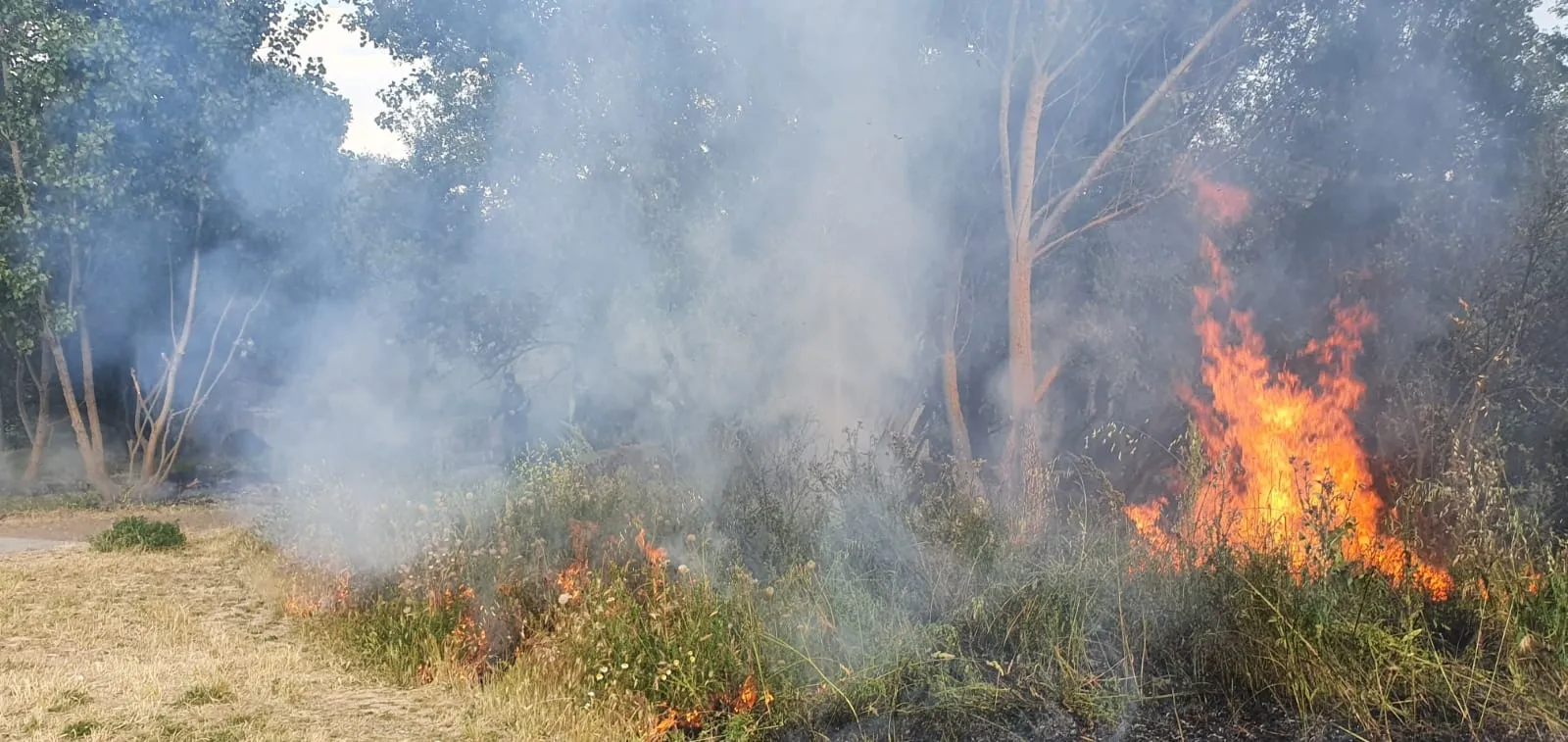 Foto 3 - Declarado un incendio en la zona del embarcadero junto al paseo fluvial&nbsp;