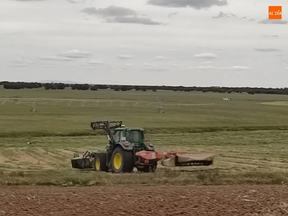 Hay bastante menos forraje que el año pasado, se podría decir que hasta la mitad  