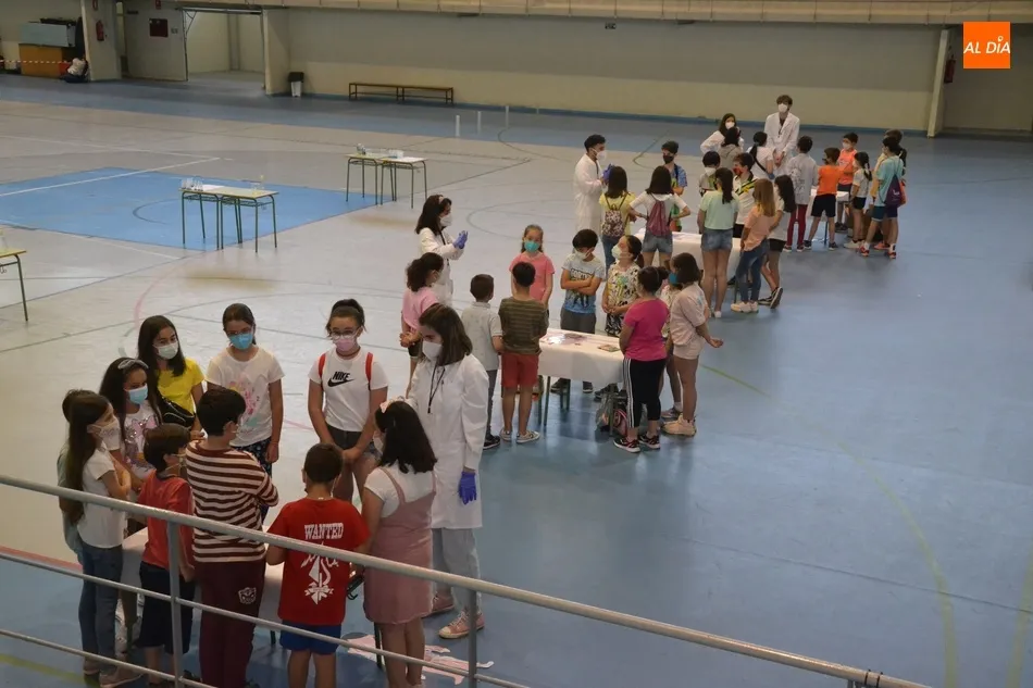 Un total de 40 niños mirobrigenses descubren cómo se crean los medicamentos  