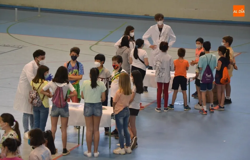 Foto 4 - Un total de 40 ni&ntilde;os mirobrigenses descubren c&oacute;mo se crean los medicamentos  