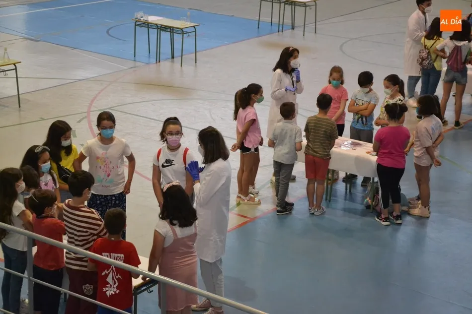 Foto 3 - Un total de 40 ni&ntilde;os mirobrigenses descubren c&oacute;mo se crean los medicamentos  