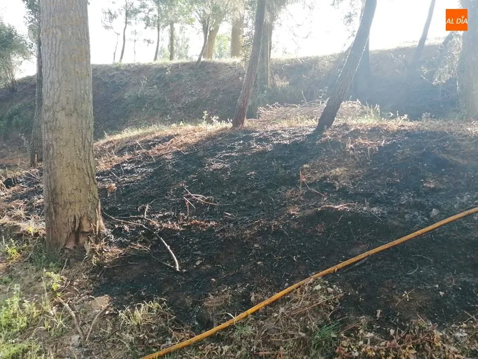 Foto 2 - Los bomberos sofocan un peque&ntilde;o incendio de maleza en Villoruela  