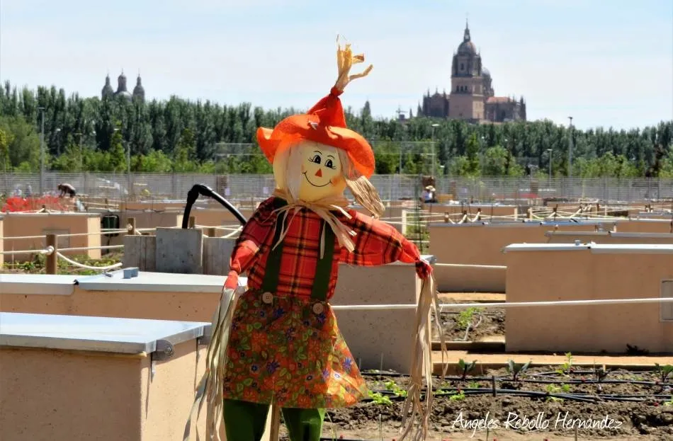 La ciudad de los brotes