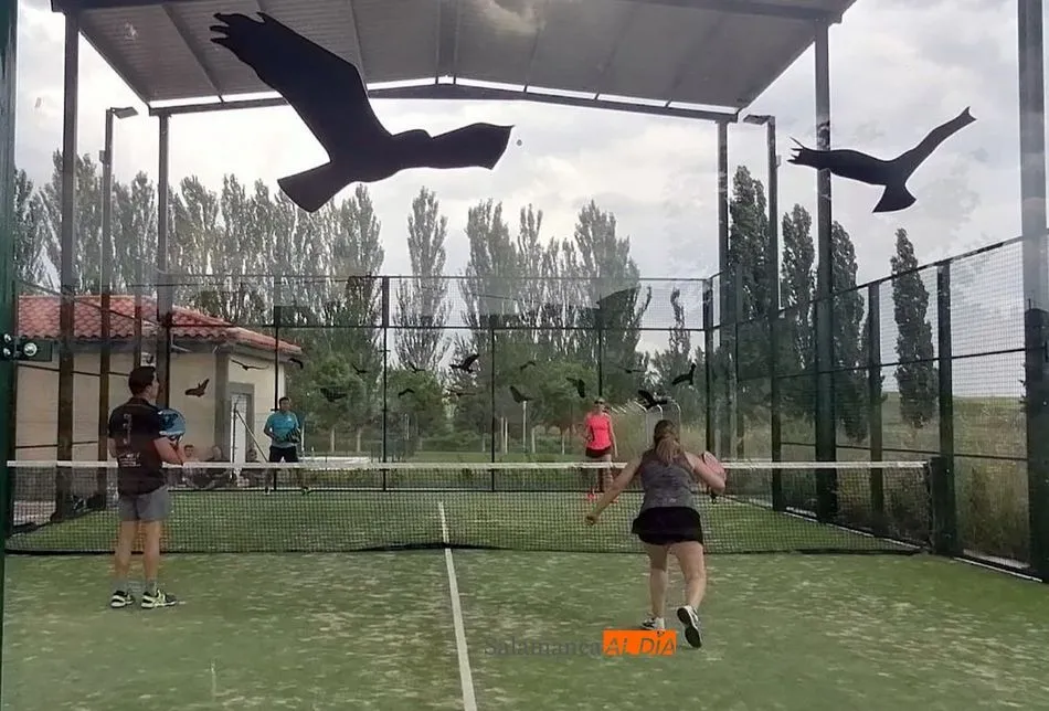 Foto 5 - El primer torneo de p&aacute;del para inaugurar la nueva pista de Topas