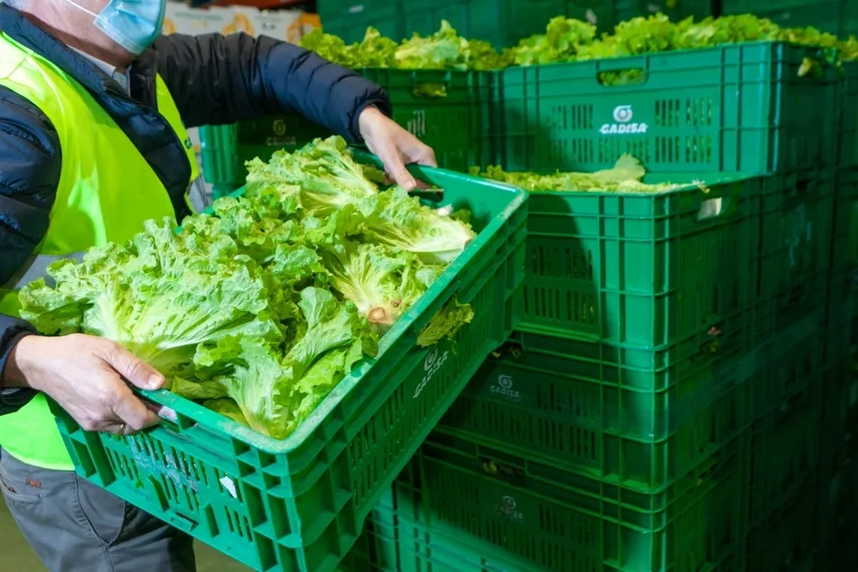 Gadis recicla más de 9,4 millones de plástico, madera y cartón en 2020