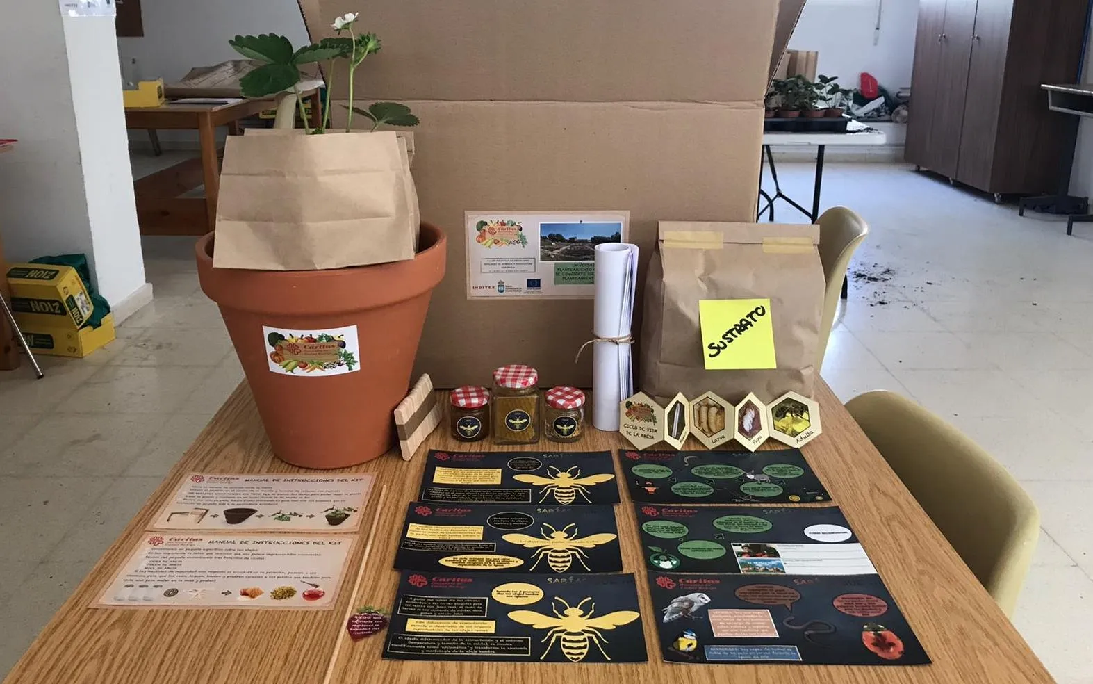 Cáritas entrega un kit de cultivo a cada colegio con motivo del Día Mundial del Medio Ambiente  