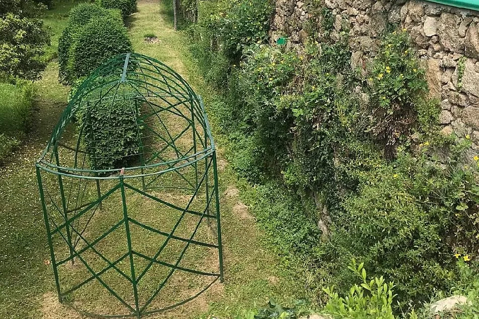 Foto 4 - El Bosque de B&eacute;jar, un jard&iacute;n sin jardineros