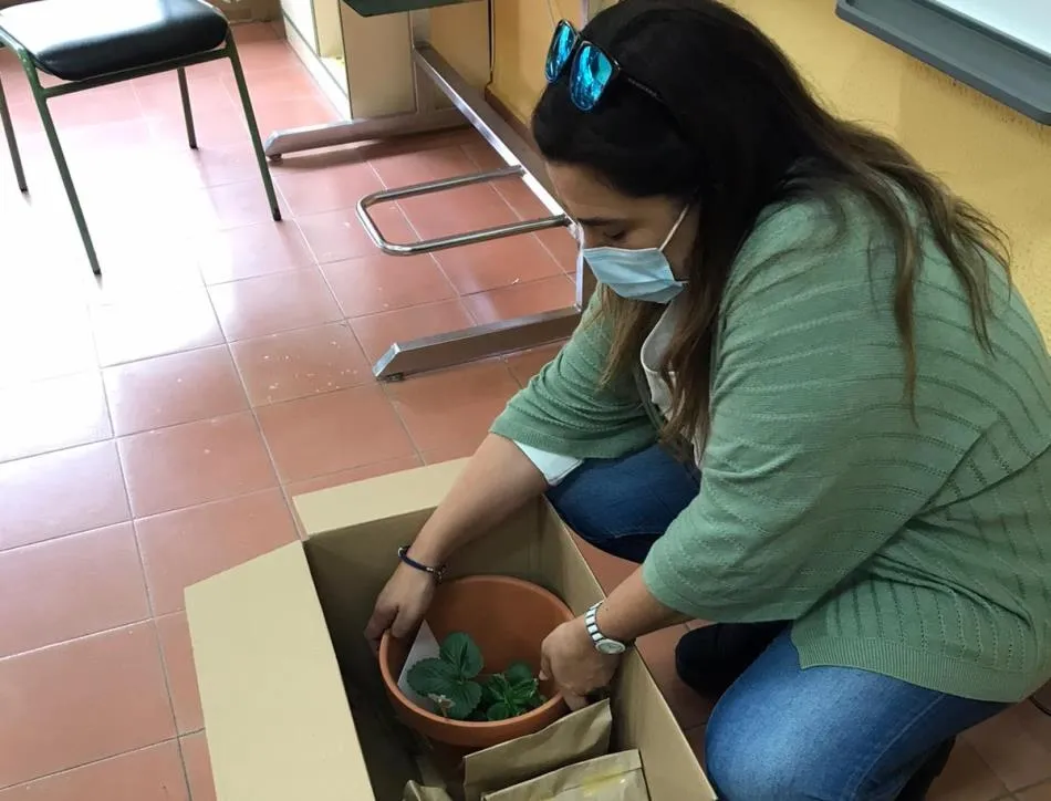 Foto 3 - Los alumnos de 4&ordm; de Primaria reciben los kits de cultivo de C&aacute;ritas  