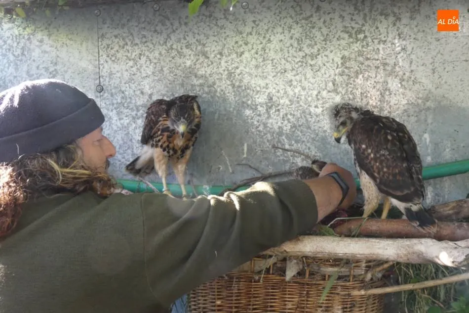 Mario Carabias en su centro de cría. / Jorge Holguera