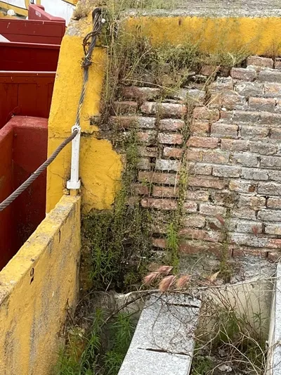 Foto 9 - La grave realidad de &ldquo;abandono&rdquo; en la que se encuentra hoy la hist&oacute;rica Plaza de toros de...
