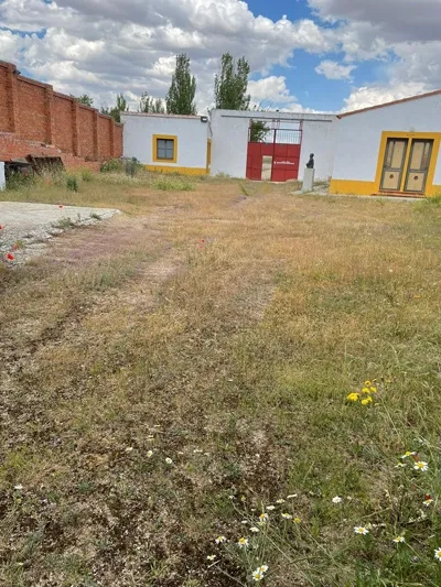 Foto 6 - La grave realidad de &ldquo;abandono&rdquo; en la que se encuentra hoy la hist&oacute;rica Plaza de toros de...