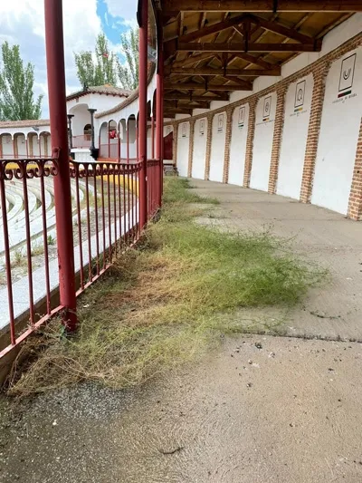 Foto 4 - La grave realidad de &ldquo;abandono&rdquo; en la que se encuentra hoy la hist&oacute;rica Plaza de toros de...