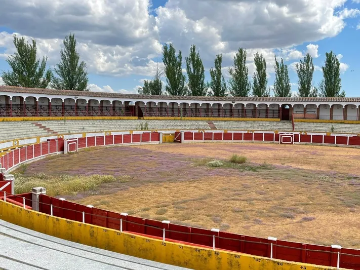 Foto 2 - La grave realidad de &ldquo;abandono&rdquo; en la que se encuentra hoy la hist&oacute;rica Plaza de toros de...