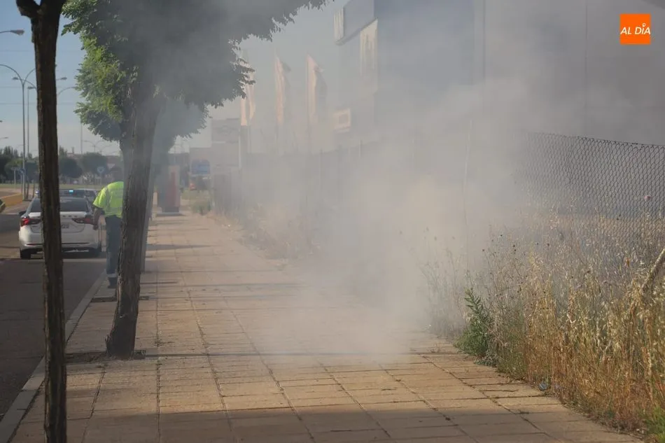 Foto 6 - Un peque&ntilde;o incendio causa alarma en el pol&iacute;gono El Montalvo II
