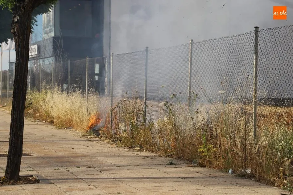 Foto 5 - Un peque&ntilde;o incendio causa alarma en el pol&iacute;gono El Montalvo II