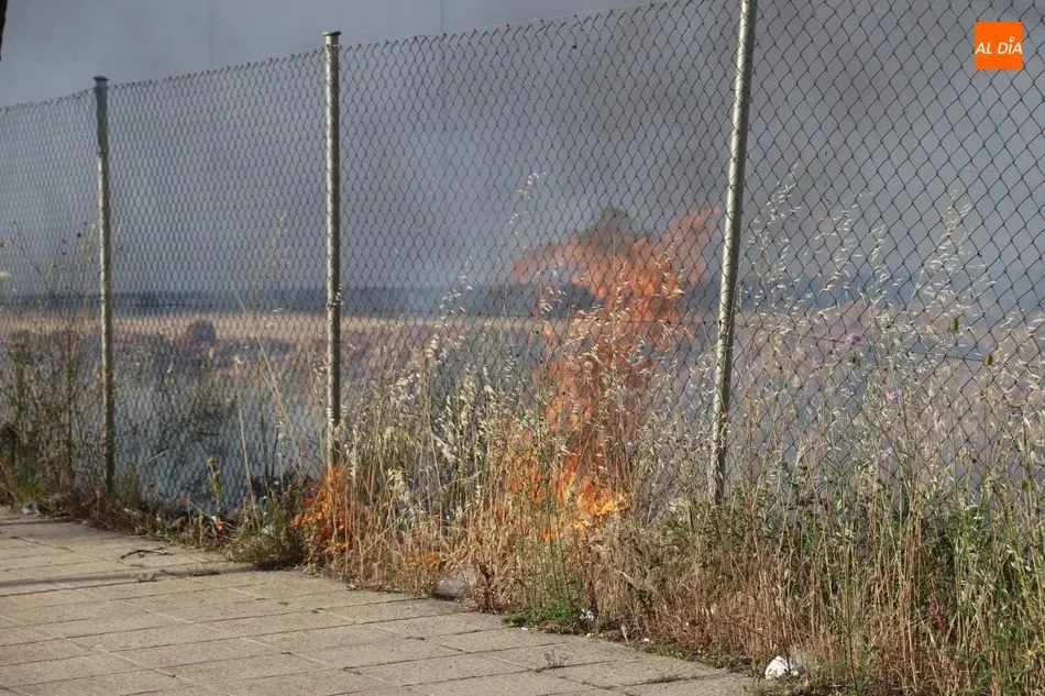 Foto 2 - Un peque&ntilde;o incendio causa alarma en el pol&iacute;gono El Montalvo II