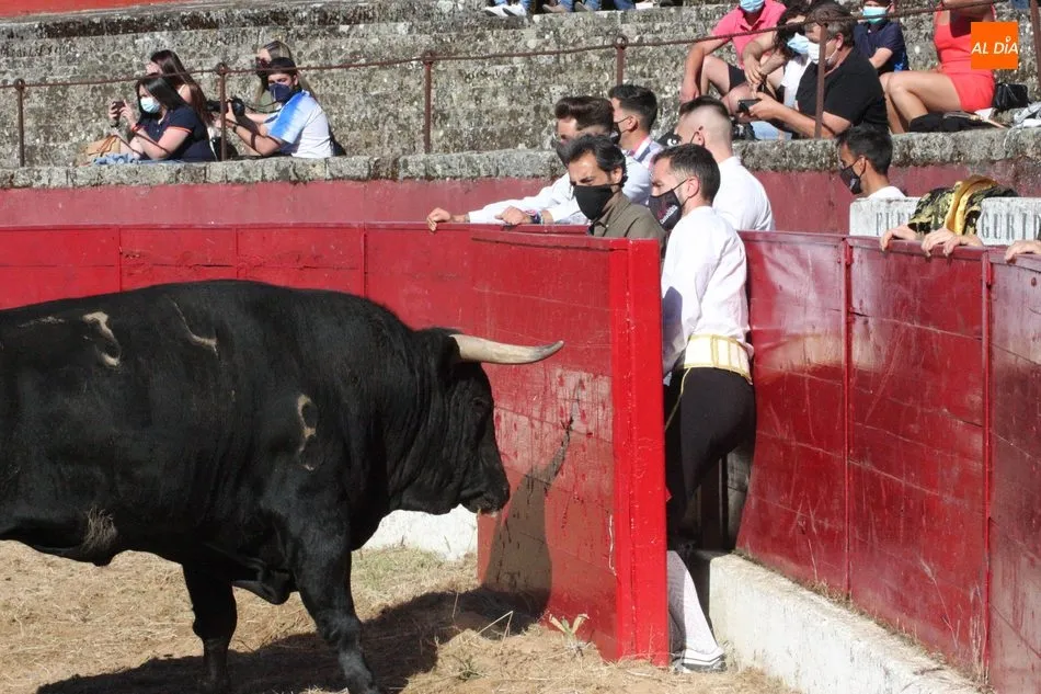 Foto 10 - Vitigudino revive los momentos m&aacute;gicos del Corpus con el festejo de recortes  