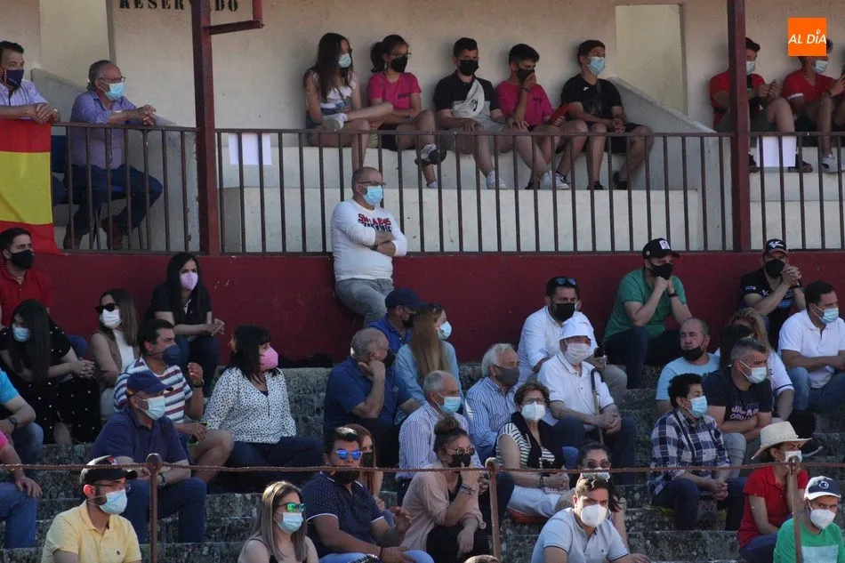 Foto 6 - Vitigudino revive los momentos m&aacute;gicos del Corpus con el festejo de recortes  
