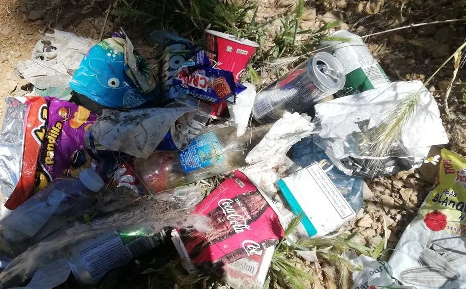 Fotos de la recogida de basura del domingo en la Aldehuela