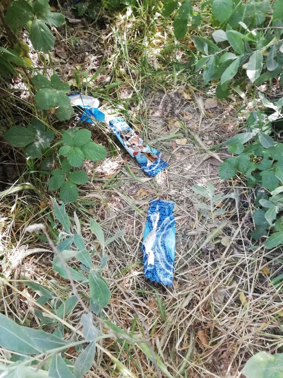 Foto 5 - Agradecido al Ayuntamiento por organizar la recogida de basura en la Aldehuela