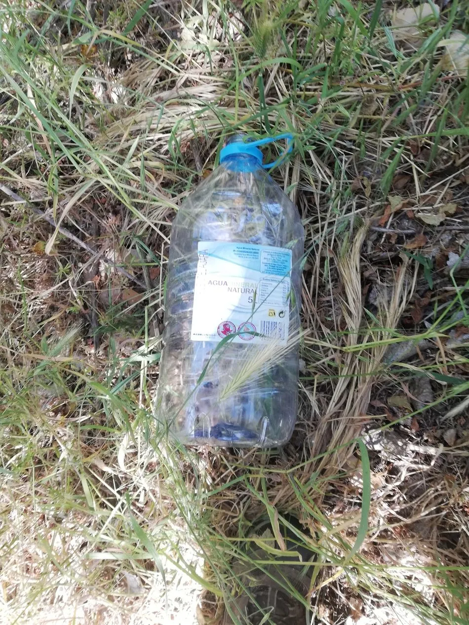 Foto 4 - Agradecido al Ayuntamiento por organizar la recogida de basura en la Aldehuela