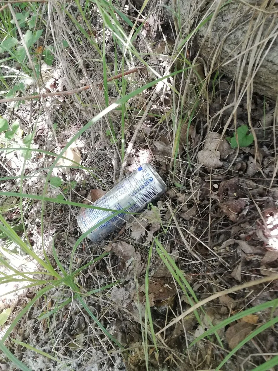 Foto 2 - Agradecido al Ayuntamiento por organizar la recogida de basura en la Aldehuela