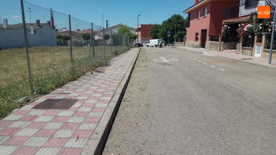 Foto 4 - Empleados del Ayuntamiento de Vitigudino inician la campa&ntilde;a de limpieza arbustiva de las calles  