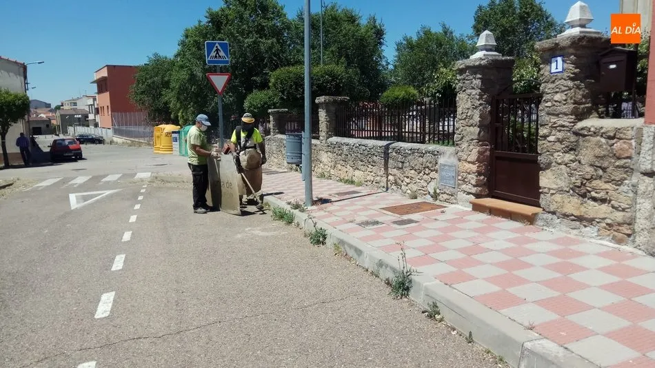 Foto 3 - Empleados del Ayuntamiento de Vitigudino inician la campa&ntilde;a de limpieza arbustiva de las calles  