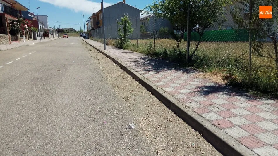 Foto 2 - Empleados del Ayuntamiento de Vitigudino inician la campa&ntilde;a de limpieza arbustiva de las calles  