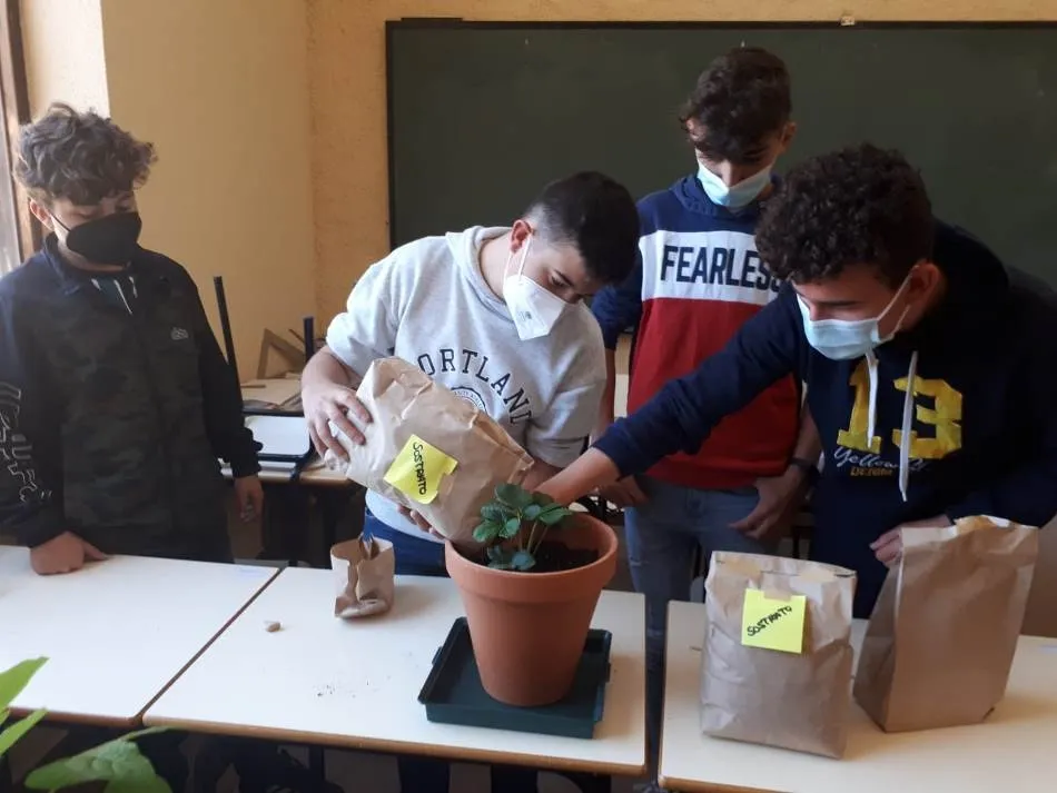 Foto 4 - Los seminaristas tambi&eacute;n reciben un kit de cultivo de C&aacute;ritas  