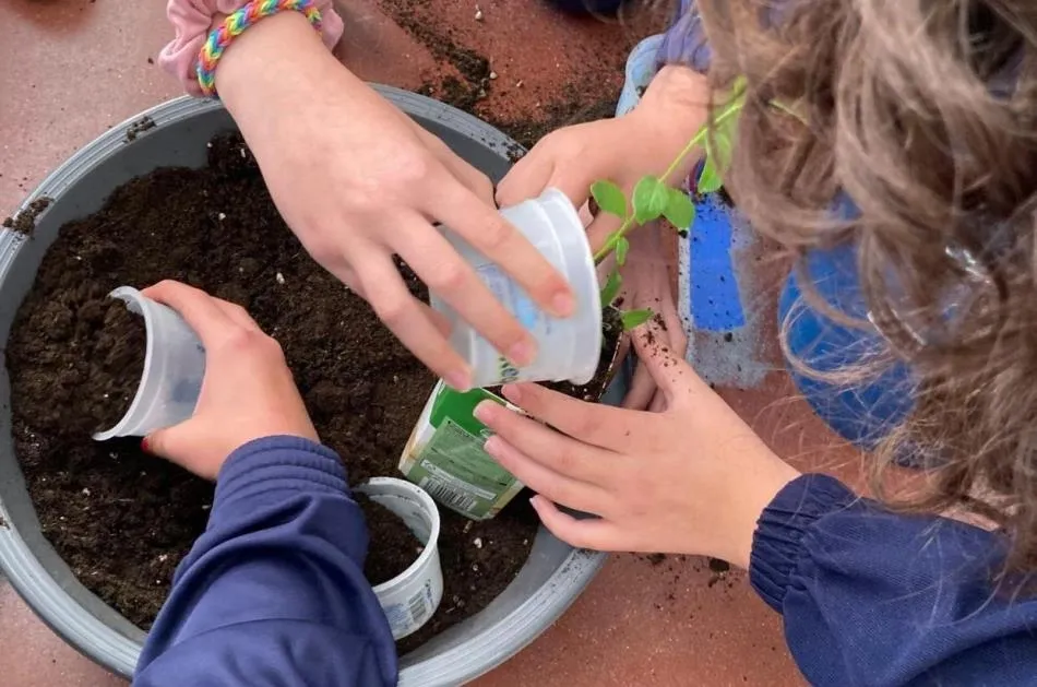 Más de 150 niños y jóvenes toman parte en la campaña ‘Ciudad Rodrigo x el Clima’  