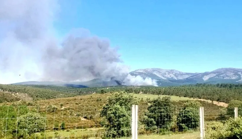 Foto 6 - Intensa lucha contra las llamas en Serradilla del Arroyo en el primer incendio forestal de la...