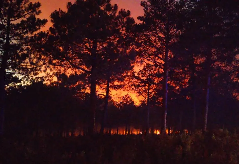 Foto 3 - Prosigue en la oscuridad de la noche la lucha contra el fuego en Serradilla del Arroyo  