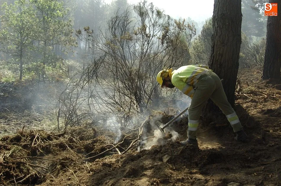 Trabajos sobre el terreno en la mañana del miércoles | Fotos: Adrián Martín