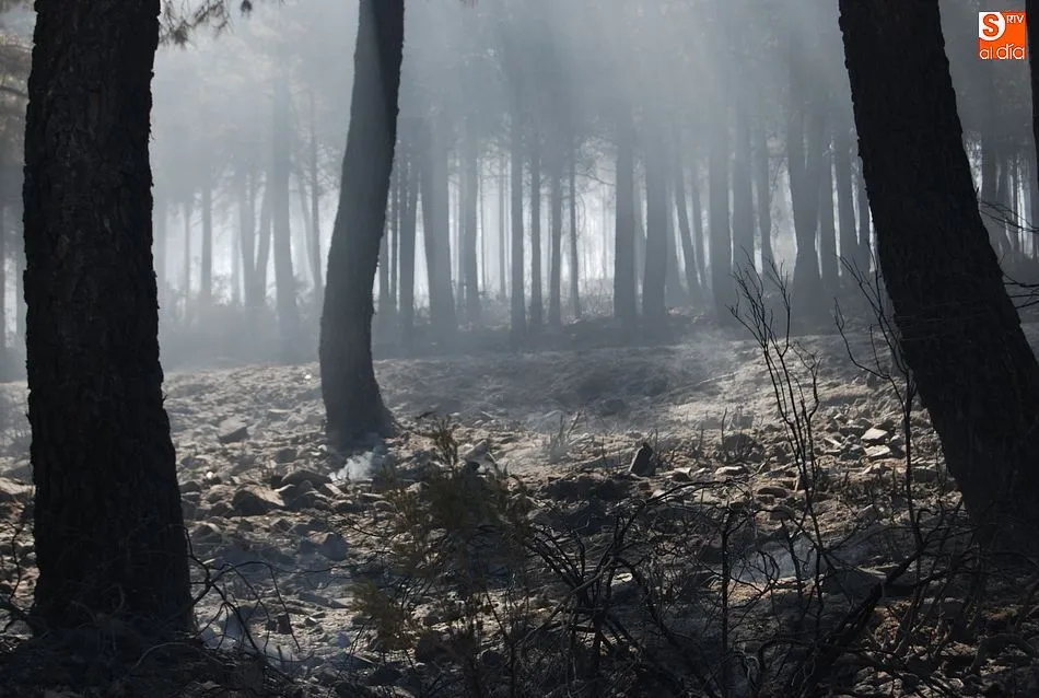 Foto 10 - El exigente trabajo nocturno da sus frutos y logra aislar las &uacute;ltimas llamas del incendio  