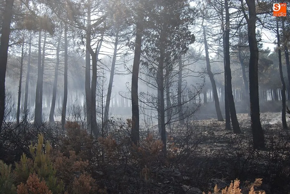 Foto 11 - El exigente trabajo nocturno da sus frutos y logra aislar las &uacute;ltimas llamas del incendio  