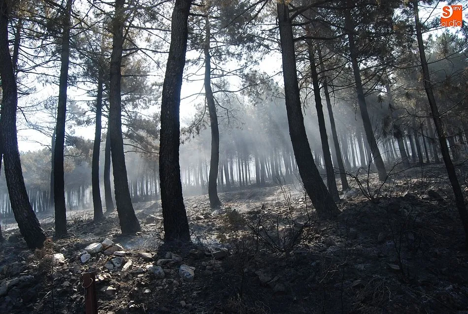 Foto 9 - El exigente trabajo nocturno da sus frutos y logra aislar las &uacute;ltimas llamas del incendio  
