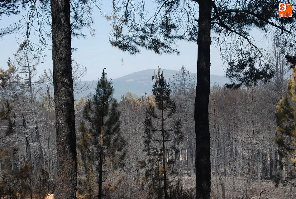 Foto 8 - El exigente trabajo nocturno da sus frutos y logra aislar las &uacute;ltimas llamas del incendio  